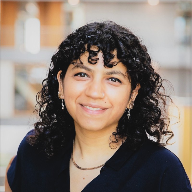 Vedika Lal Vedika Lal