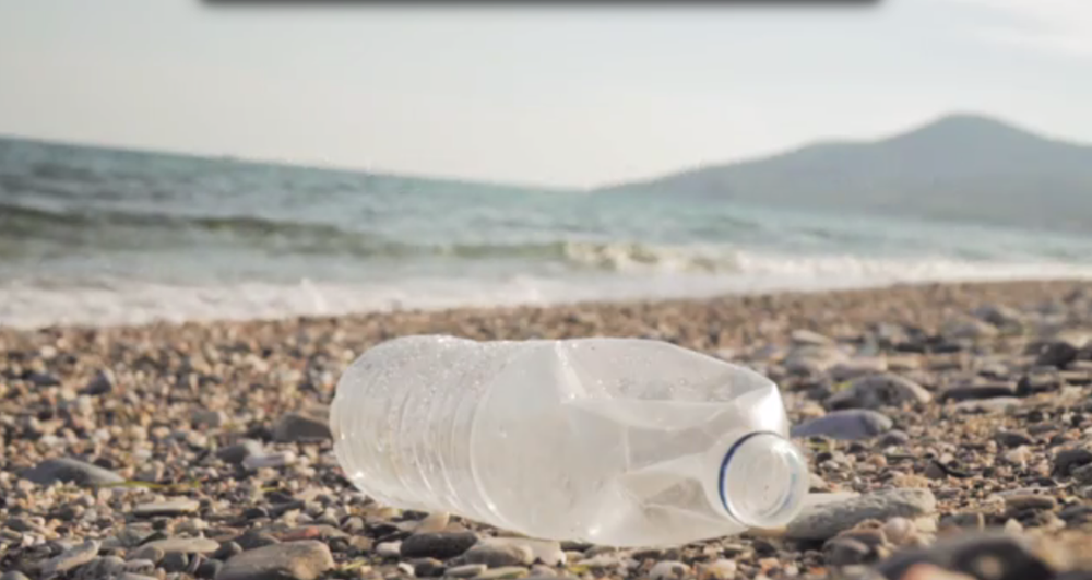 Coup de projecteur sur l'activité des Chaires & Professorships ESCP pendant le confinement