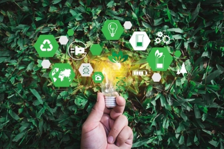Reduce your digital carbon footprint to shape a greener future