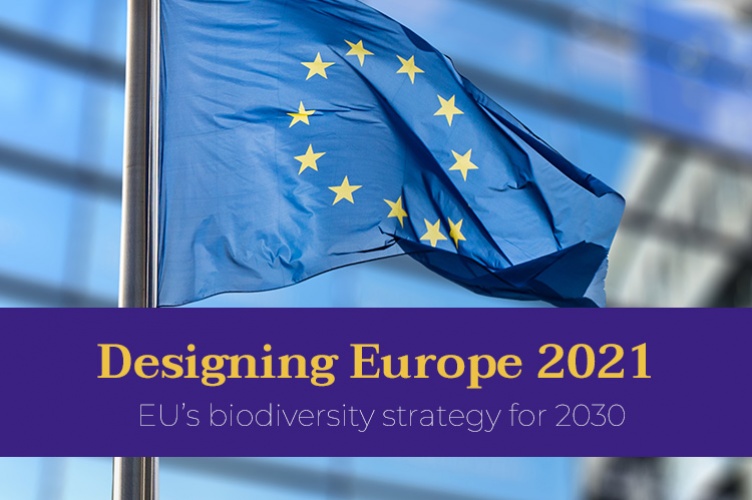 Designing Europe 2021 - EU's biodiversity strategy for 2030