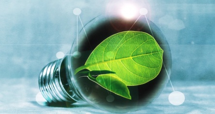Photo of lightbulb with green leaf