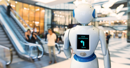 ©zapp2photo-AdobeStock_166373023