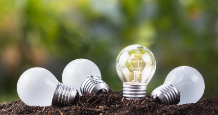 © Adobe Stock - patpitchaya [copyright]