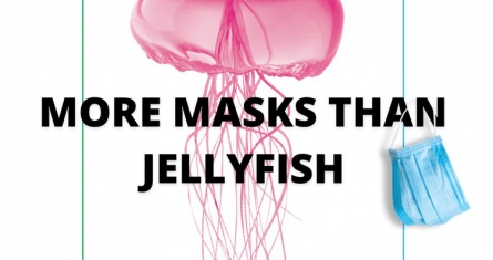 More Masks Than Jellyfish: ESCP Students discuss the  impact of discarded PPE on marine life