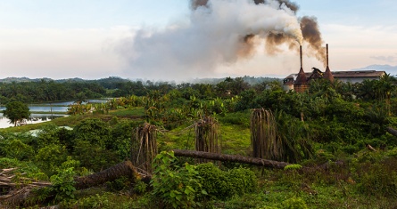 © Daniel - AdobeStock [copyright]